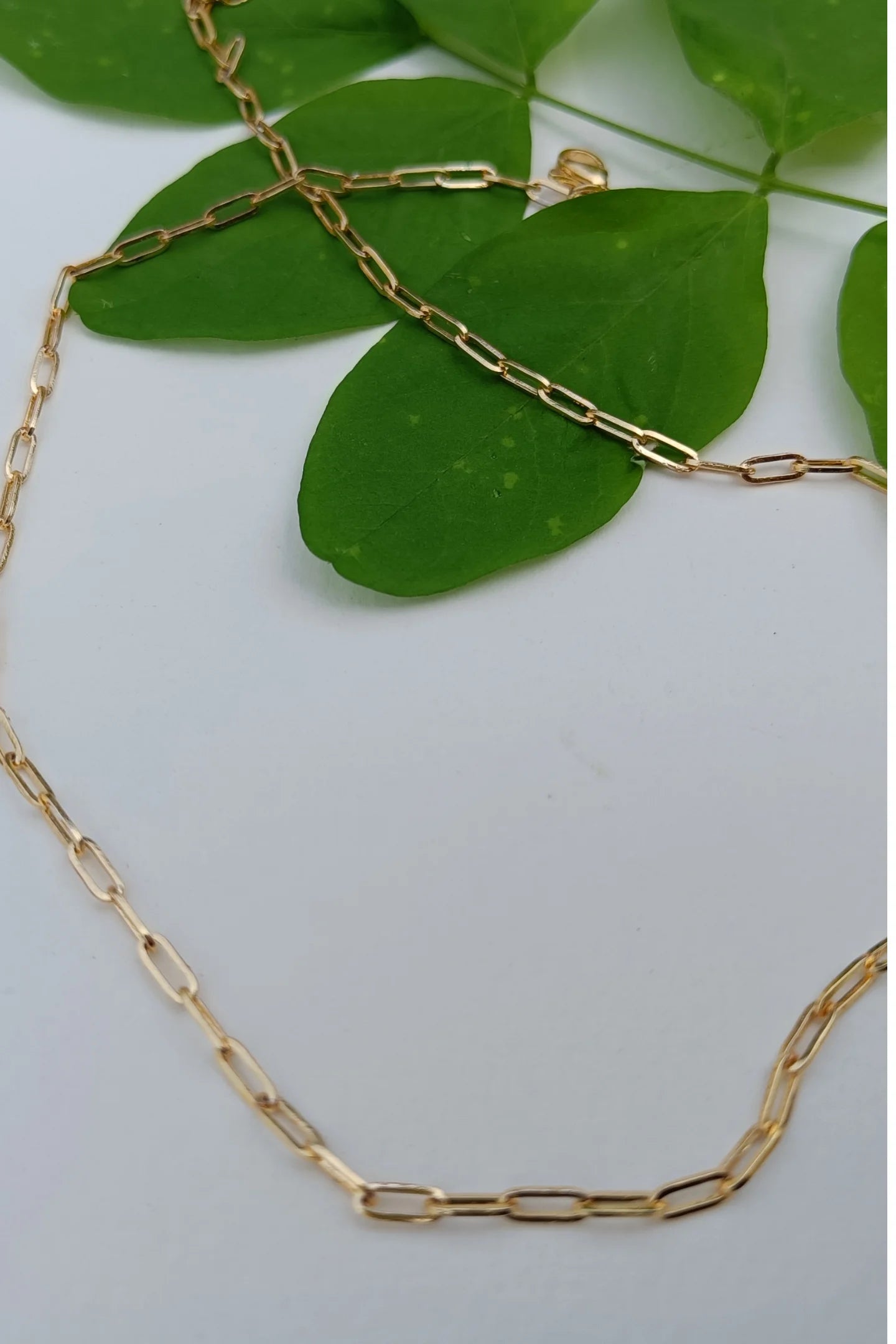 Sixth image of a golden chain.