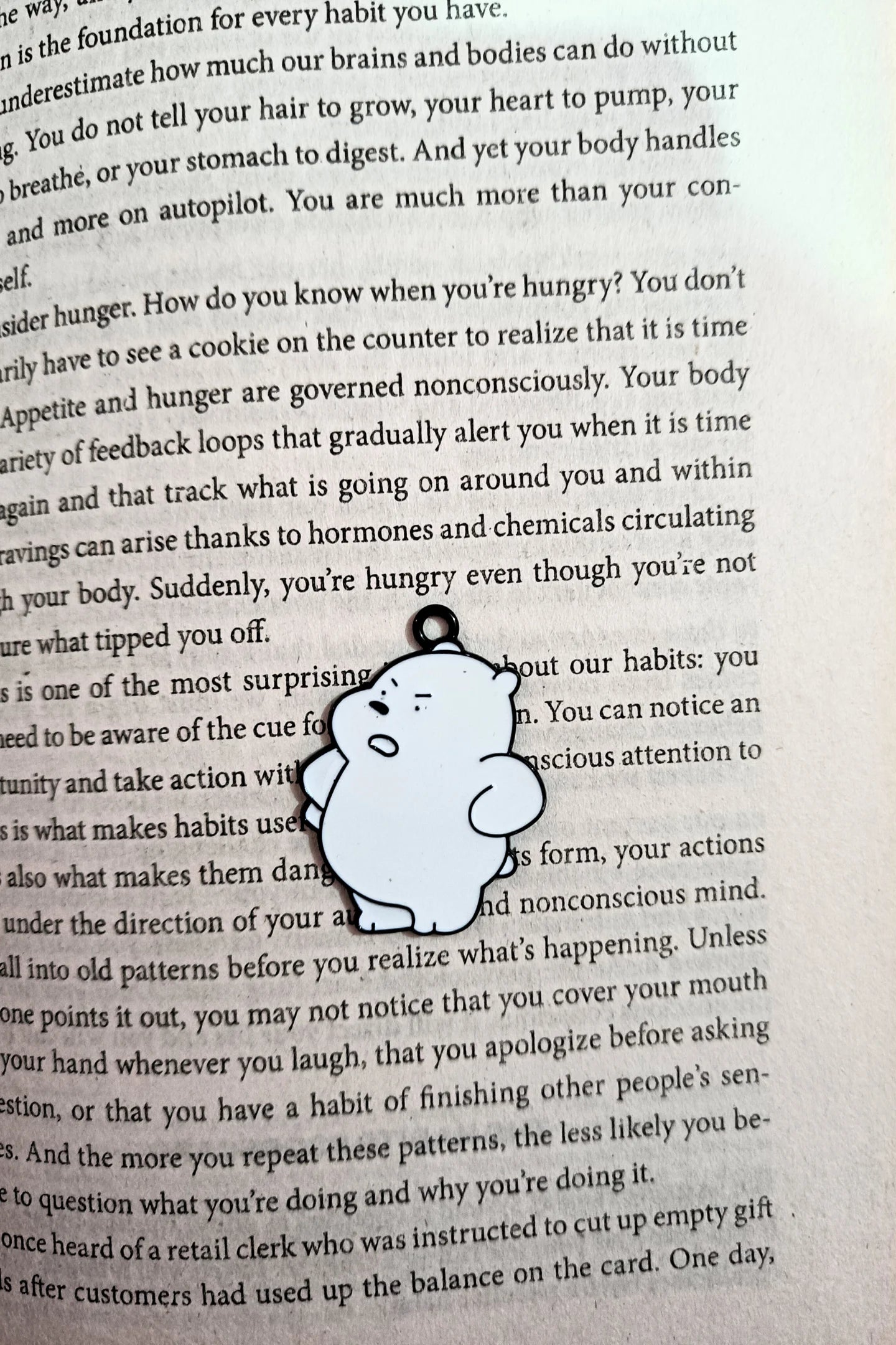 Ice Bear | Cartoon | Charms