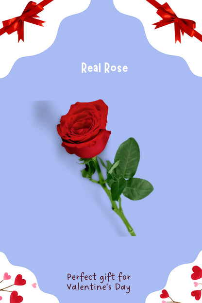 Hoodie Mini Gift Hamper | Convert Photo to Illustration/Ghibli-art | Valentine’s Gift for the One You Love