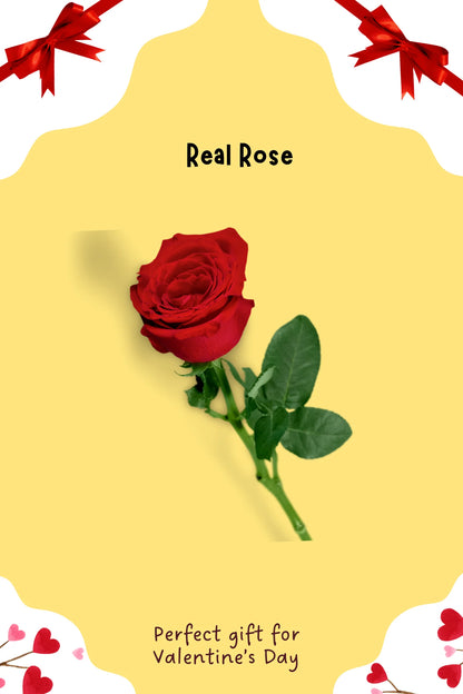 T-shirt Mini Gift Hamper | Convert Photo to Illustration/Ghibli-art | Valentine’s Gift for the One You Love