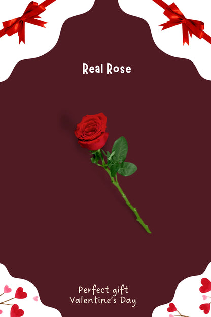 Sweatshirt Mini Gift Hamper | Custom Photo to Illustration / Ghibli-Art | Valentine’s Gift for the One You Love