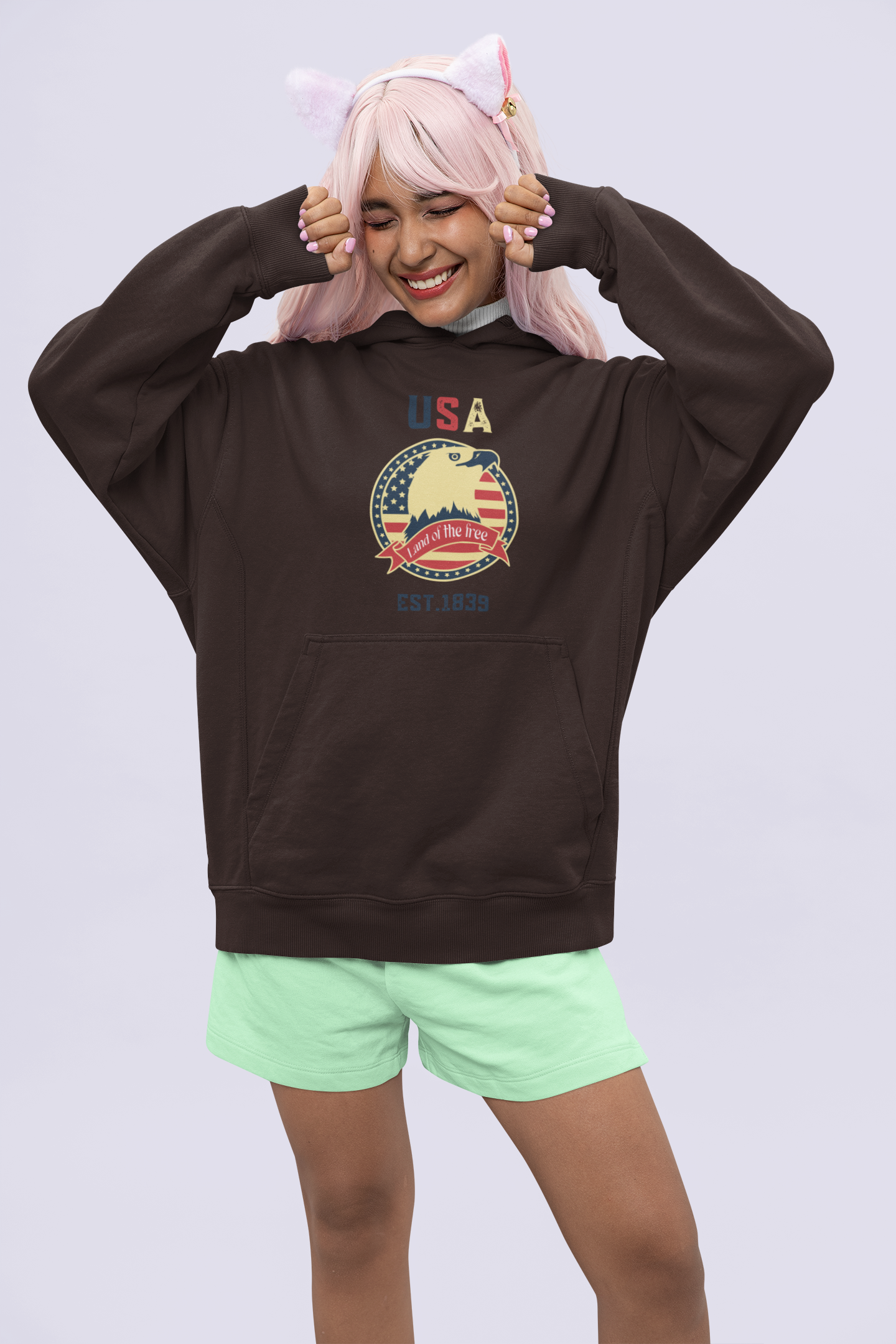 USA Land of the free | Retro Theme | Premium Unisex Winter Hoodie